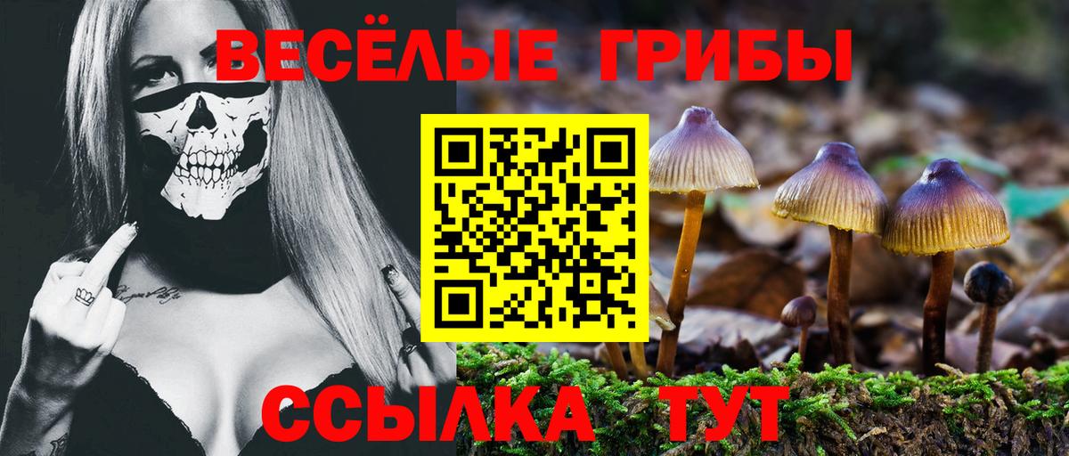 Псилоцибиновые грибы Psilocybe  Вход с VPN  Мурино 