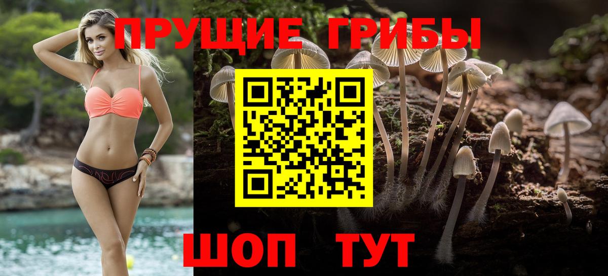 Галлюциногенные грибы Magic Shrooms Мурино